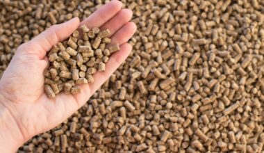 Lietuviai ieško granulių ir briketų šildymui – atsakymai neguodžia