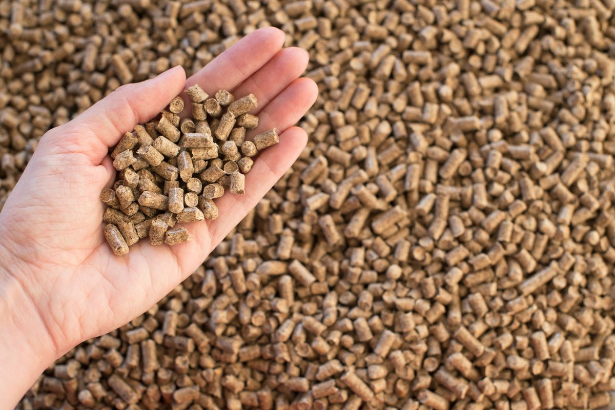 Lietuviai ieško granulių ir briketų šildymui – atsakymai neguodžia