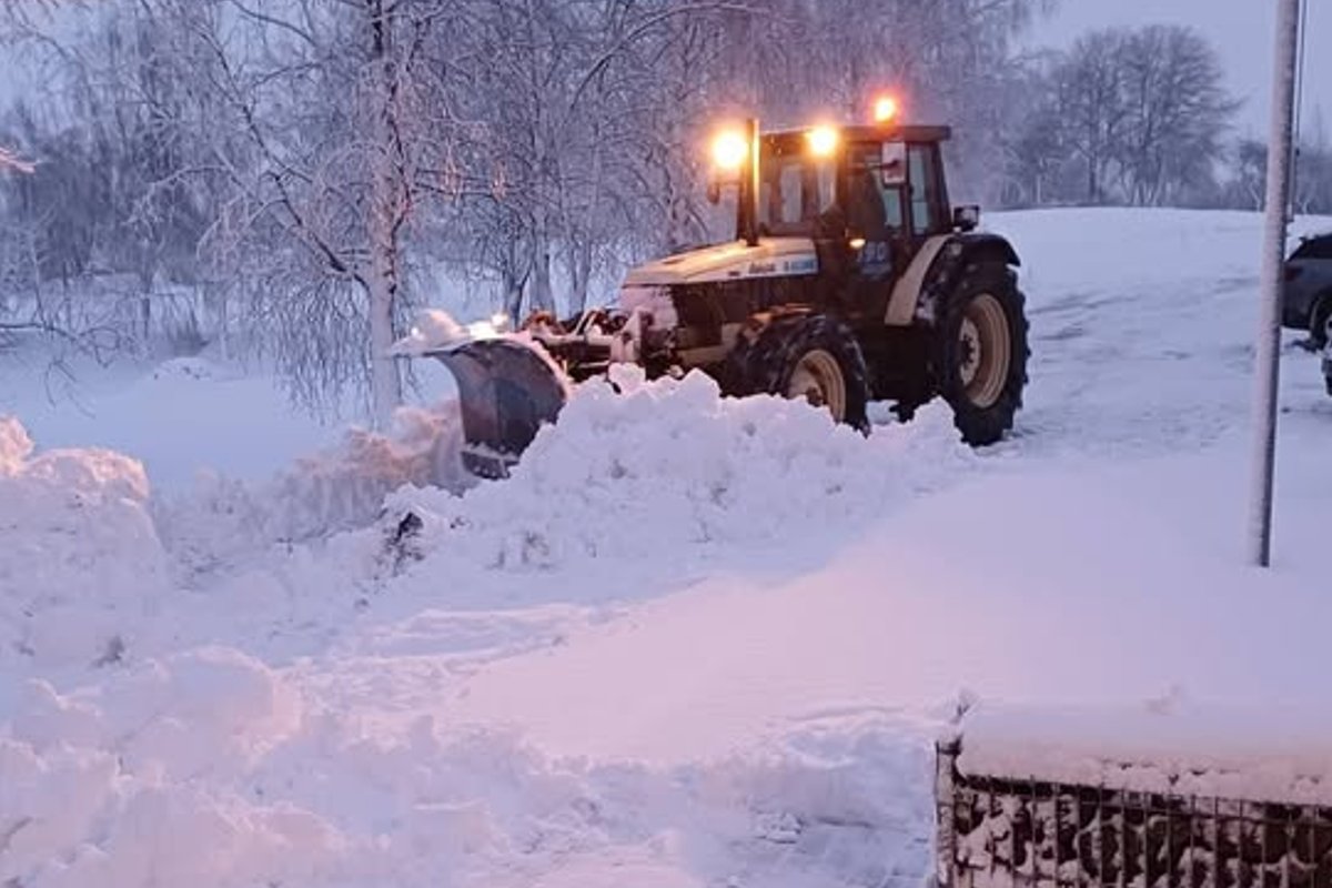 Plungėje dėl sniego mokyklose stabdomas ugdymo procesas