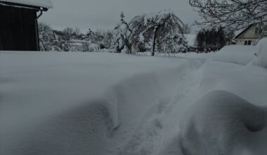 ŠMSM vietoje pamokų stabdymo rekomenduoja nuotolinį mokymą