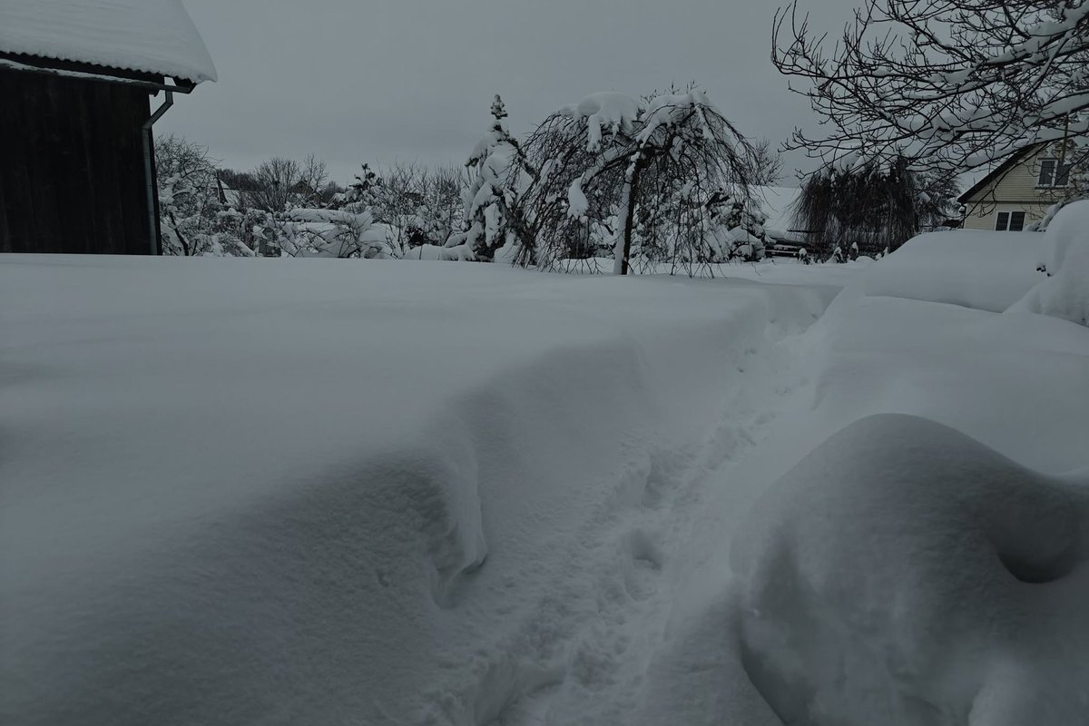 ŠMSM vietoje pamokų stabdymo rekomenduoja nuotolinį mokymą