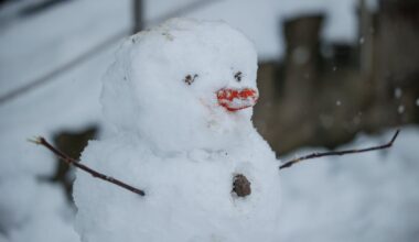 „Grinda“ jau išvežė maždaug 1 tūkst. kubinių metrų sniego