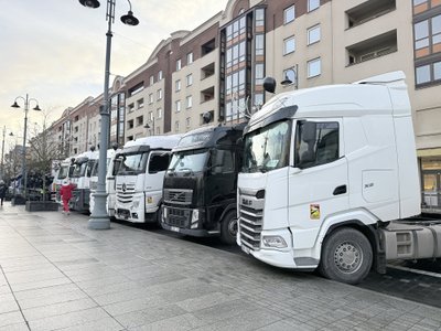 Vilkikai renkasi Gedimino prospekte