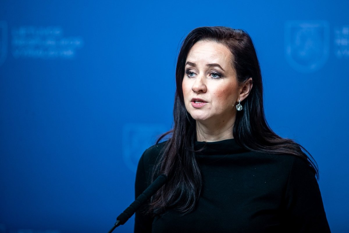 Ruginienė apie Andriukaičio pasisakymus dėl Paleckio: net nenoriu komentuoti