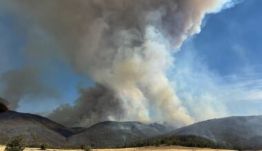 Australija kovoja su didžiuliais miškų gaisrais