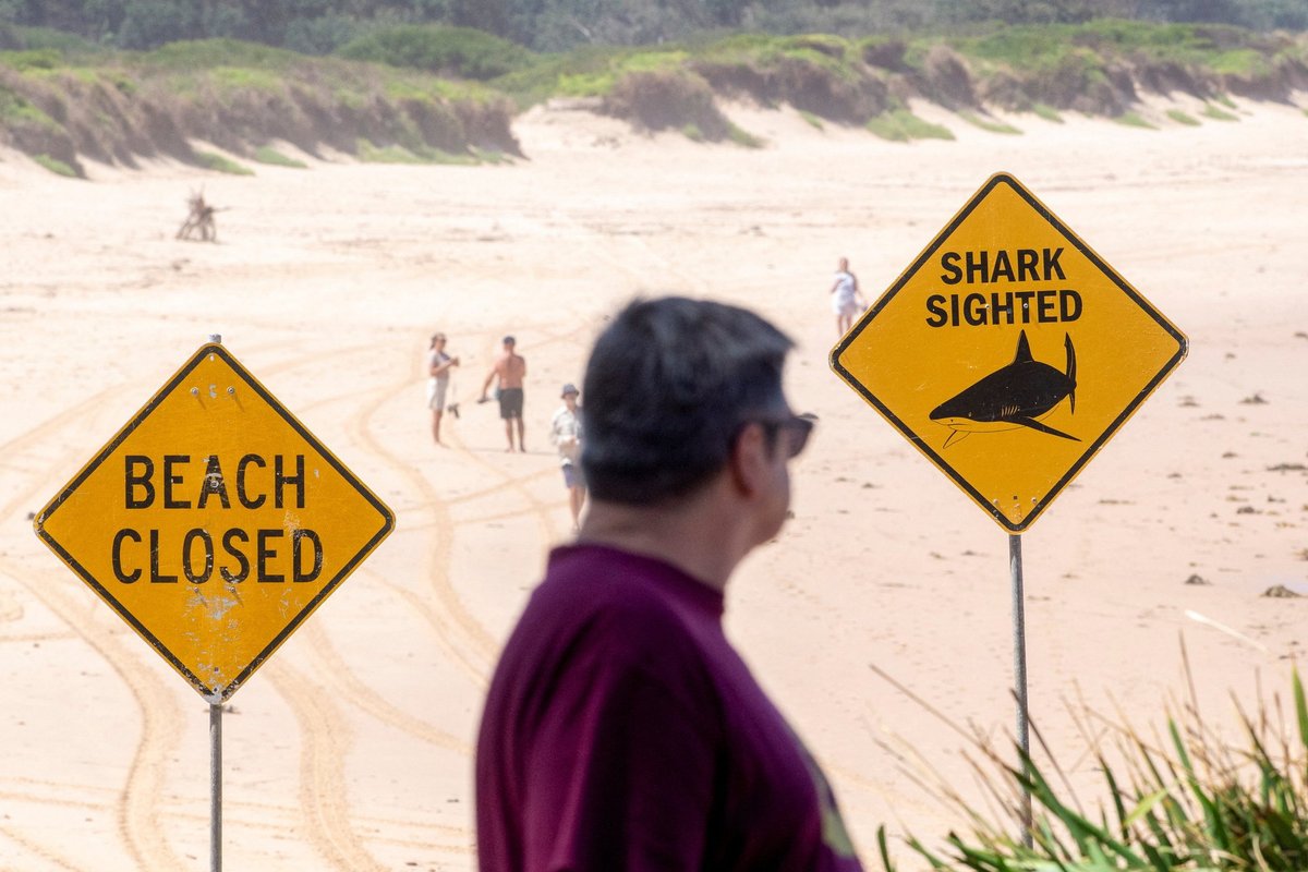 Ryklys Sidnėjuje užpuolė banglentininką - Delfi