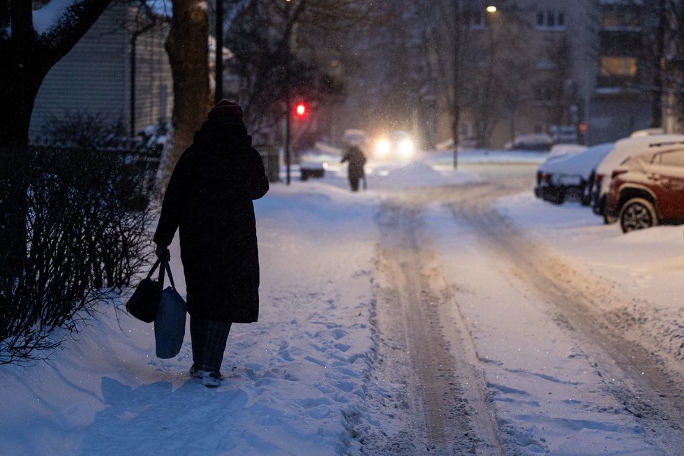 Žiema (Paulius Peleckis/ BNS nuotr.)