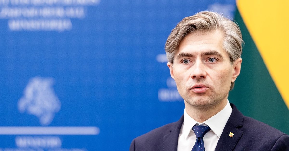 Budrys su Ukrainos vicepremjeru kalbėjosi telefonu ir aptarė šalies integraciją į ES