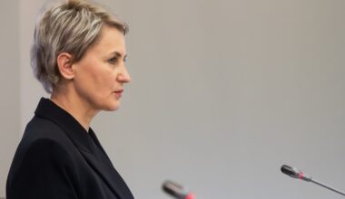 Grunskienė kreipėsi į STT dėl VMI parduodamų automobilių