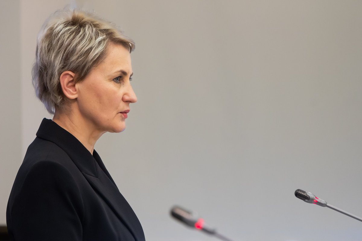 Grunskienė kreipėsi į STT dėl VMI parduodamų automobilių