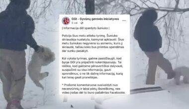 Pasidalijo naujausia informacija apie Kaune spardytą šunį