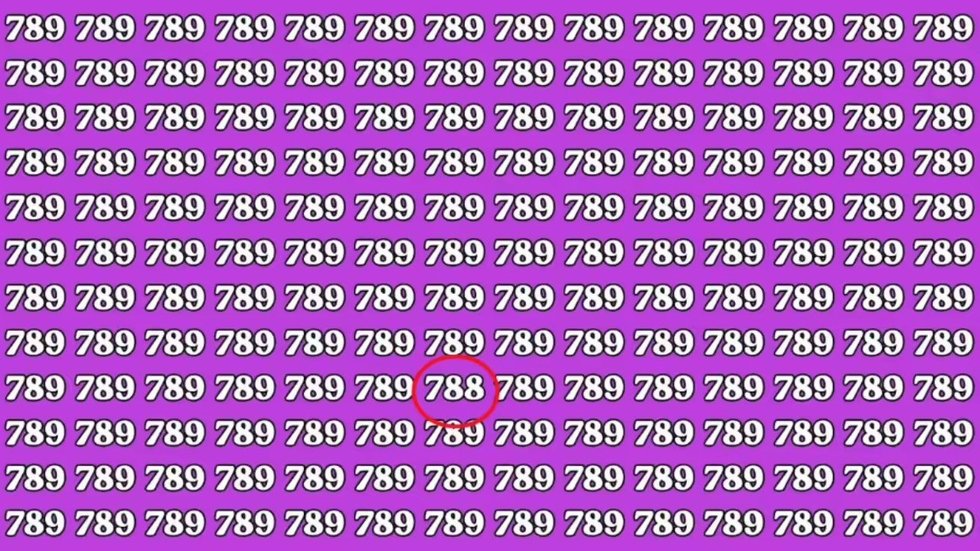 Galvosūkio atsakymas (nuotr. stop kadras)