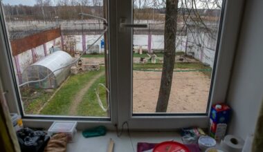 „Vieniems aš Tadas Blinda, kitiems – banditas“: sukrečianti Henriko Daktaro išpažintis