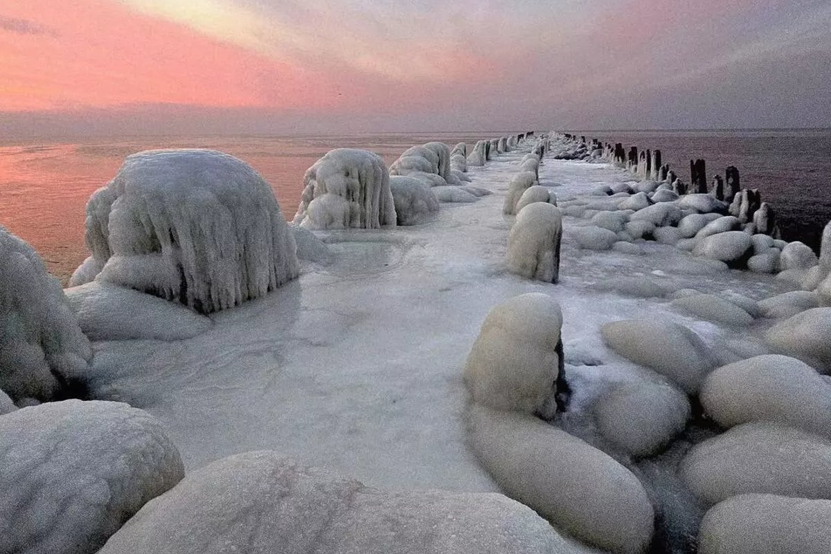 Šventojoje užfiksuoti kerinčio grožio „uosto sargybiniai“