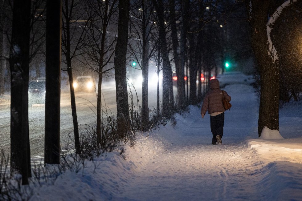 Žiema Lietuvoje (Paulius Peleckis/ BNS nuotr.)