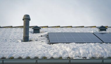 Šaltis – ne kliūtis: saulės elektrinės ir žiemą generuoja apčiuopiamą naudą valstybei