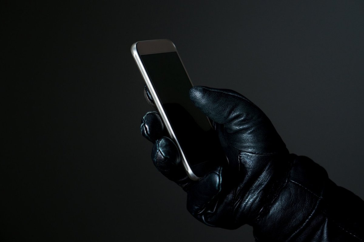 Rusakalbiui sukčiui atidavė per 14 tūkst. eurų