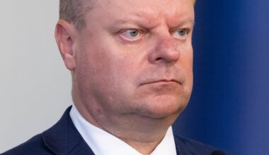 Skvernelis atsakė, iš kur kyla gandai apie socdemų skilimą
