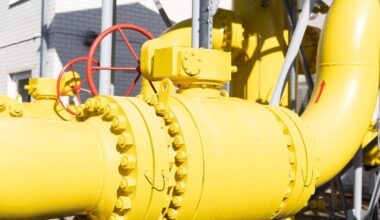 Lietuvoje toliau vyraujant šalčiui, fiksuojamas itin išaugęs dujų suvartojimo kiekis