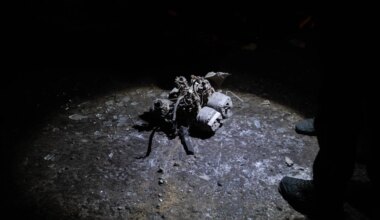 Rusijos karo mašinos maitinimo skandale minima lietuviška įmonė - vz.lt