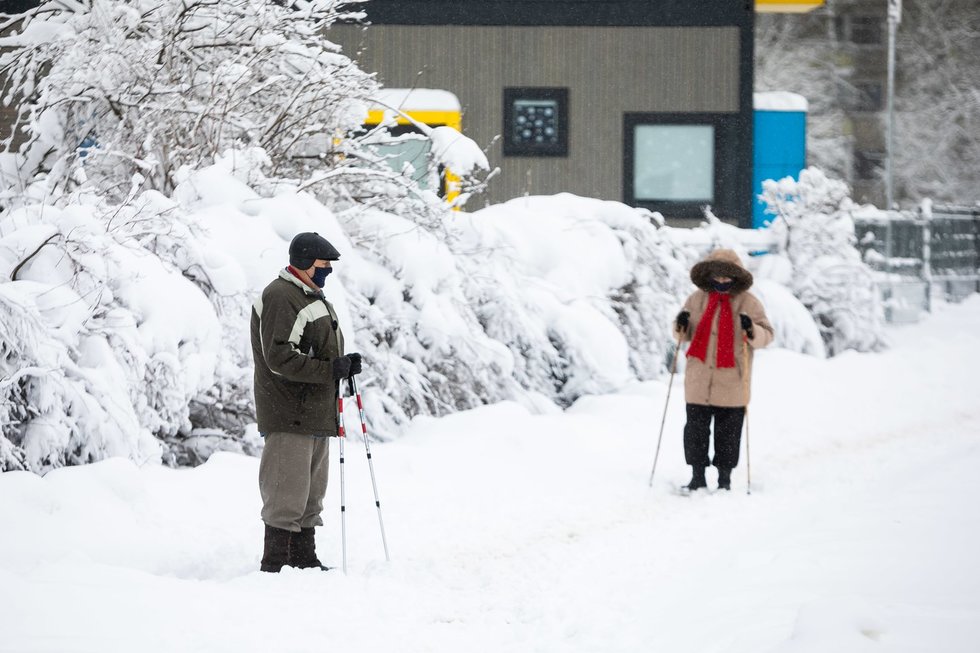 Pensininkai (Žygimantas Gedvila/ BNS nuotr.)