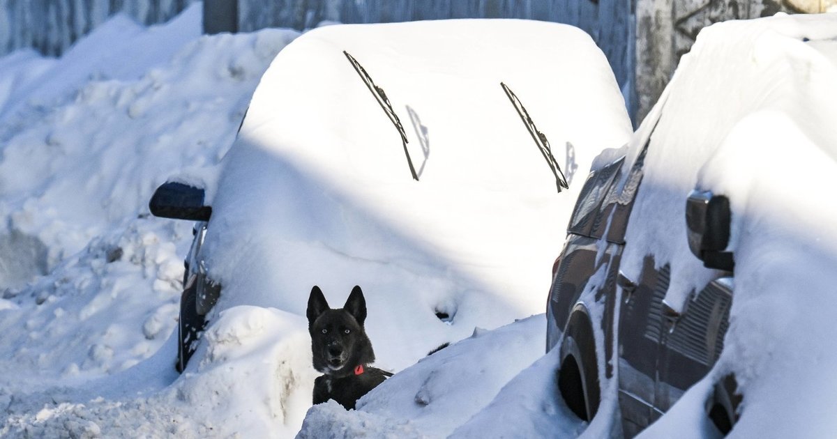 Maskvą užklupo istorinis snygis: tokio nebuvo daugiau nei 200 metų