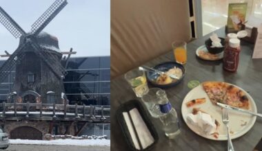 Riebus katinas: ką padavėjai daro su jūsų nesuvalgytu maistu