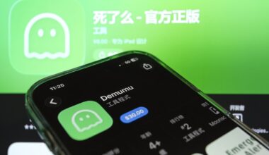 Kinijoje išpopuliarėjo vienišiams skirta programėlė