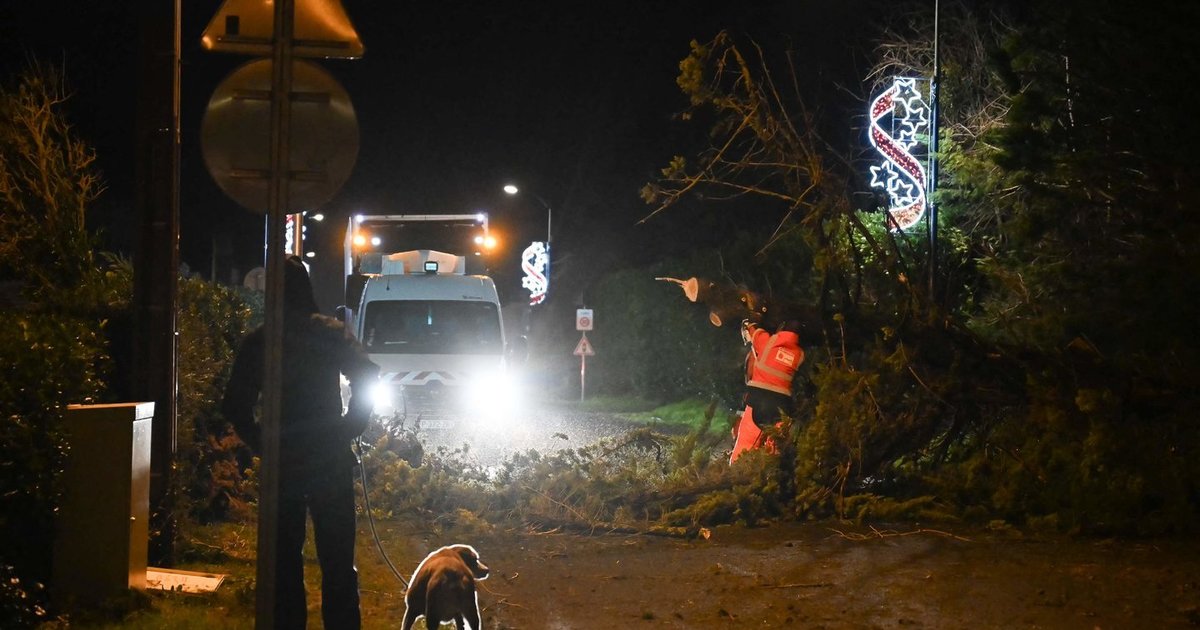 Europoje siautėja galinga audra: be elektros liko 380 tūkst. namų ūkių