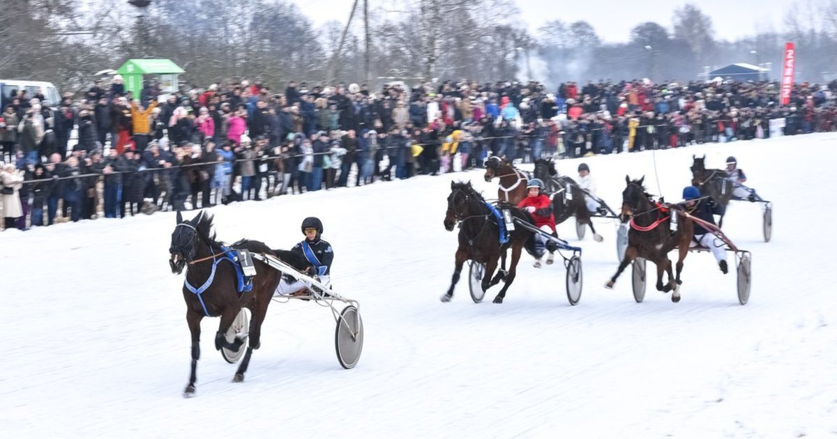 Šventė „Sartai 2026“ Dusetose: žiemos hipodrome – ristūnų žirgų lenktynės ant ledo