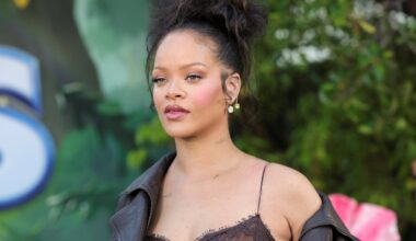 Paviešinus nepatrauklią Rihannos nuotrauką – pačios dainininkės kirtis