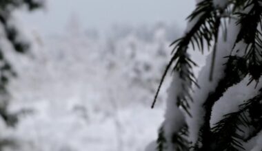 Anykščių rajone vyrai su keturračiu pateko į avariją: vienas jų buvo girtas