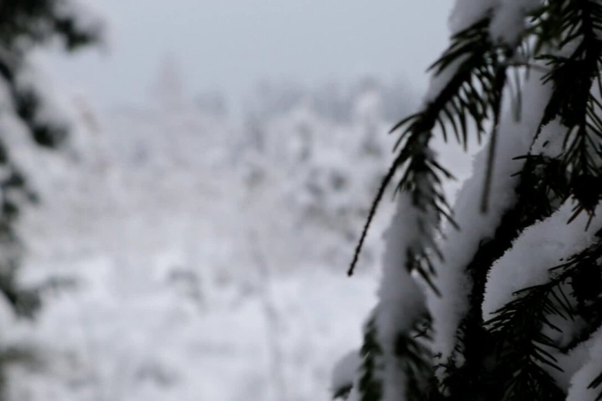 Anykščių rajone vyrai su keturračiu pateko į avariją: vienas jų buvo girtas