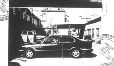 Šūviai naktį Pasvalyje: „Pelėsių“ gauja taikėsi į išgėrusius policininkus