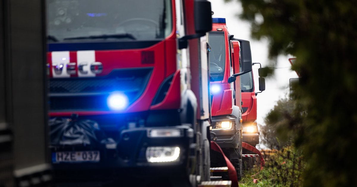 Bute Vilniuje užsiliepsnojo eglutė ir malkos, į ligoninę išvežta moteris