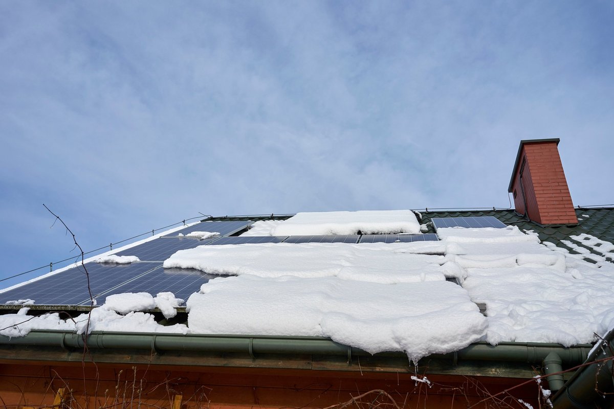 Vyras pasiskolino saulės elektrinei: norėtos paramos negavo