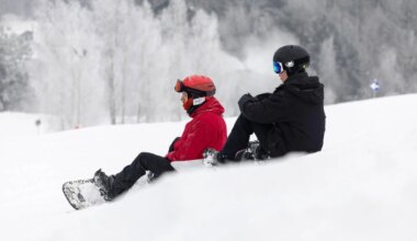 Žiemos verslo misija – uždirbti metams per dvi savaites