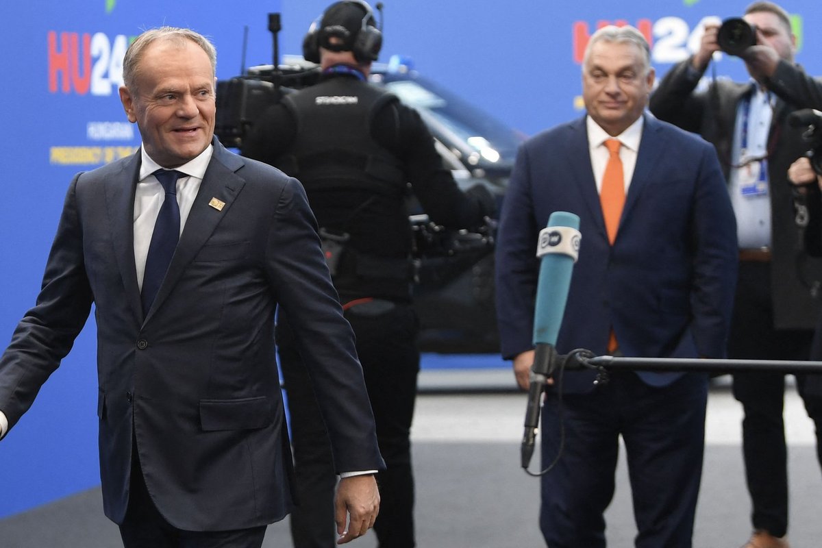 „Išskirtinis bailys“: iš Vengrijos – antausis Lenkijai