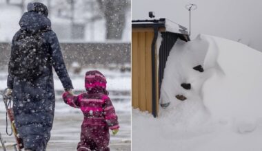 Žiema spaudžia: naktimis Lietuvoje sulauksime ir iki 17 laipsnių šalčio