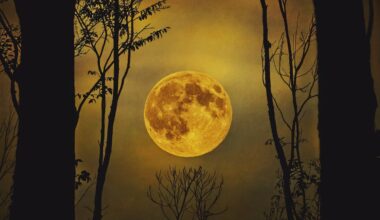 Vilko supermėnulis 2026-uosius pradės „sprogimu“: matysime ir Lietuvoje