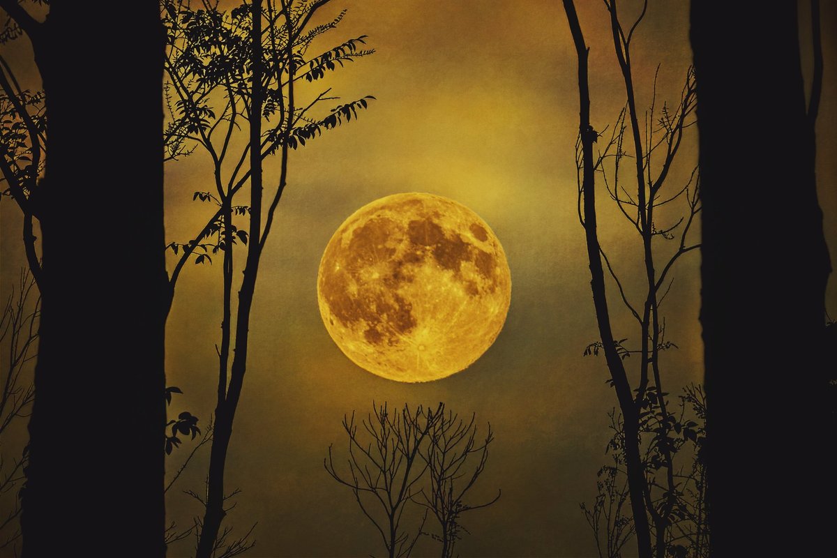 Vilko supermėnulis 2026-uosius pradės „sprogimu“: matysime ir Lietuvoje