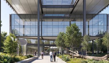 Vilniaus centre paliks nuvirtusius medžius: štai kodėl tai daroma