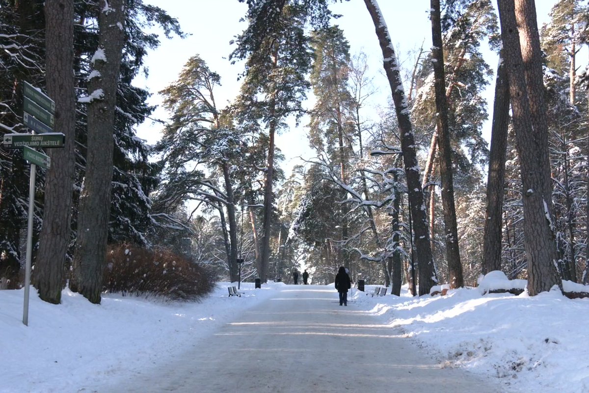 Artėja pati šalčiausia diena, iš klimatologo – naujausia patikslinta prognozė - Delfi