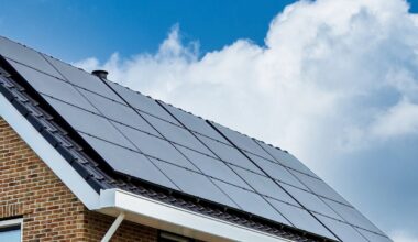 Saulės elektrinės savininkas suabejojo dėl atsiskaitymo plano: ar teisingai suskaičiuota?