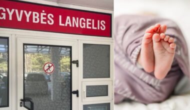 Gyvybės langeliai veikia Lietuvoje nuo 2009-ųjų