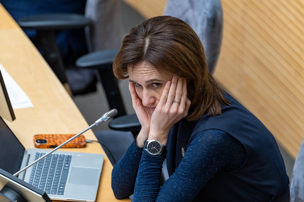 Čmilytė-Nielsen pasisakė apie kontrabandinius balionus