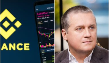 Sukčiai prisidengė „Binance“ konsultantais - Delfi