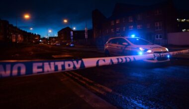 Lietuvis Airijoje įvykdė kraupų nusikaltimą: subadė sesę ir paliko ją sudegti