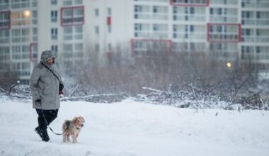Kiek žmonių išeina iš antros pakopos: įmonės nekalbios