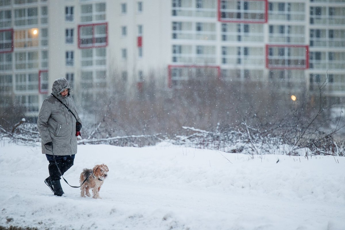 Kiek žmonių išeina iš antros pakopos: įmonės nekalbios